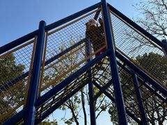 -上海海湾国家森林公园