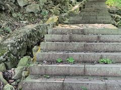 -北仑森林植物园