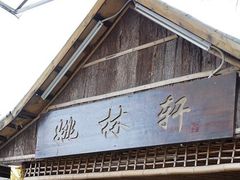 -姚林轩