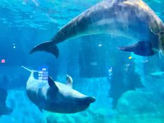 -福州罗源湾海洋世界旅游区