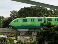 -圣淘沙天际线斜坡滑车