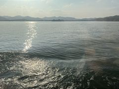 -西湖外事游船(花港观鱼码头)