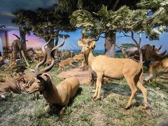 -国家自然博物馆