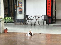 -微饮cafe