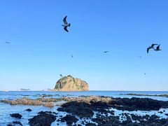 -棒棰岛宾馆景区