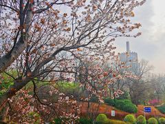 -元大都城垣遗址公园