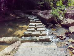 -广州白江湖森林公园