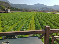 -古田会议纪念馆