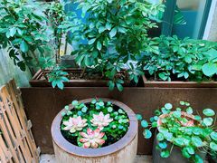 -甜阿姨·天台花园私房菜(万松园店)