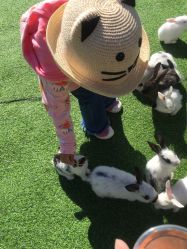 -萌宠亲子动物乐园(槐房万达店)