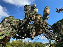 -奥兰多迪士尼动物王国乐园