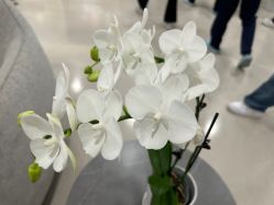 -丰联丽格医疗美容·联合丽格眼整形中心