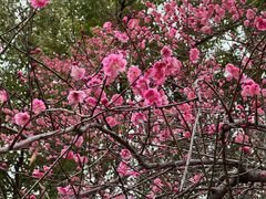 -溪口-滕头旅游景区