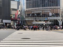 -涩谷全向十字路口