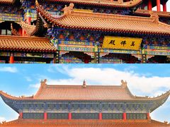 -莲花岛景区