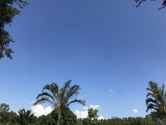 -观澜湖高尔夫球会
