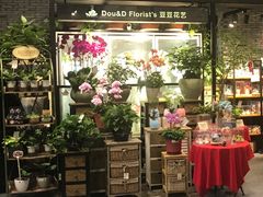-豆豆花艺(新光天地店)