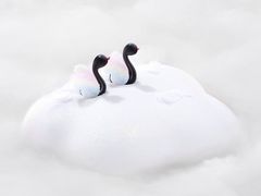 -BLACKSWAN黑天鹅(环球店)