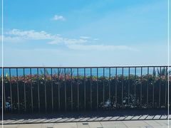 -日落吧·海景咖啡厅·餐酒吧·鸡尾酒·下午茶·乐队表演·浪漫夕阳·三亚文华东方酒店