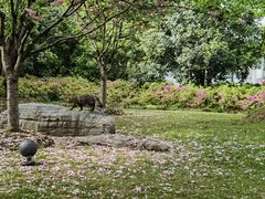 景点-鲁迅公园