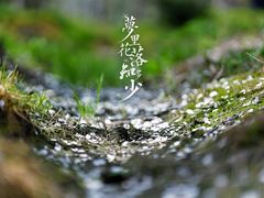 -树山生态村