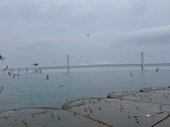 -星海广场