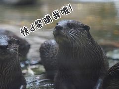 -广州动物园