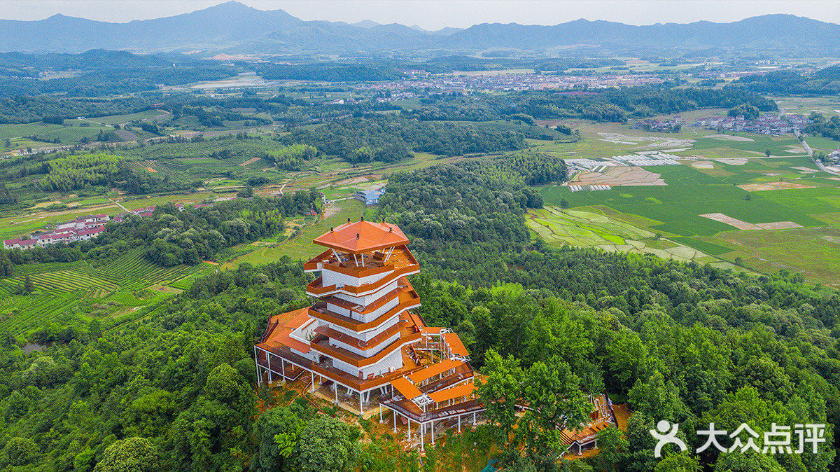 走进景德镇高岭·中国村景区的茶海花海