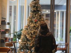 -黑胶星球(华发中城商都店)
