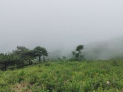 -妙峰山风景名胜区