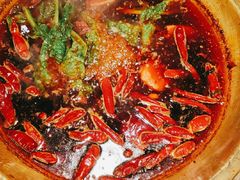 -小龙坎火锅(春熙太古里店)