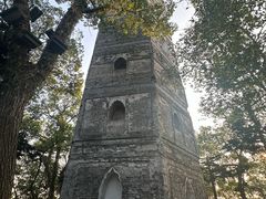 -江心屿景区