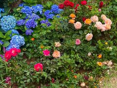 -人民公园(罗湖区)