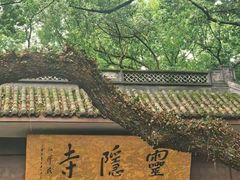 -太湖源风景区