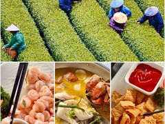 -龙井壹号·茶缘山景宴(龙井村店)