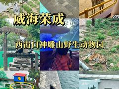 -西霞口神雕山野生动物世界