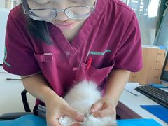 -瑞派·关忠动物医院·猫专科·犬专科(三环新城店)
