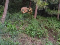 -北京小汤山医院体检中心