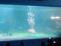-常州海昌海洋探索馆