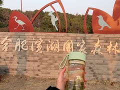 -合肥滨湖国家森林公园