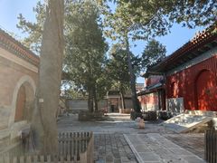 -承恩寺