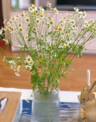 -和美东方产后恢复管理中心(长虹国际城店)