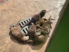 -杭州野生动物世界