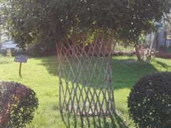 -武汉紫薇都市田园