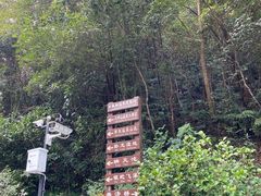 -宁海森林温泉