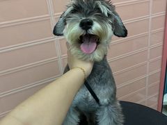 -FAELING PETS美天灵宠物(合生汇店)