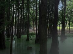 -东湖落雁景区