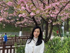 -西安市长乐公园