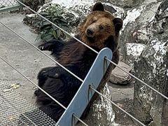 -成都动物园
