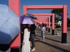 -漳州滨海火山岛自然生态风景区